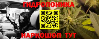 дурь Гатчина