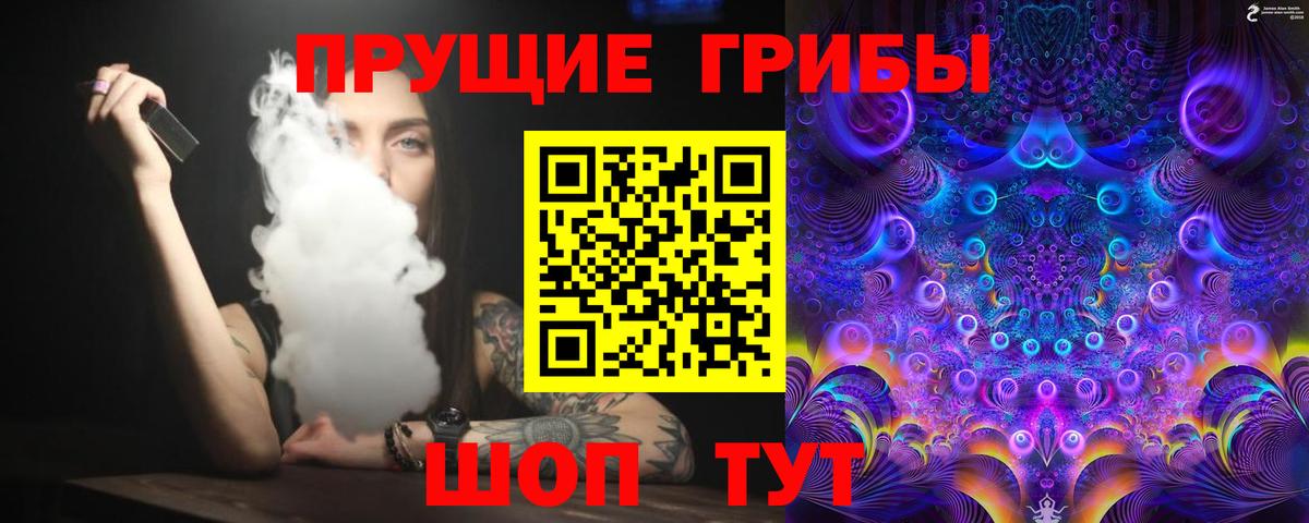 Псилоцибиновые грибы мицелий  Вход с VPN  Галлюциногенные грибы Cubensis  Нижний Новгород 
